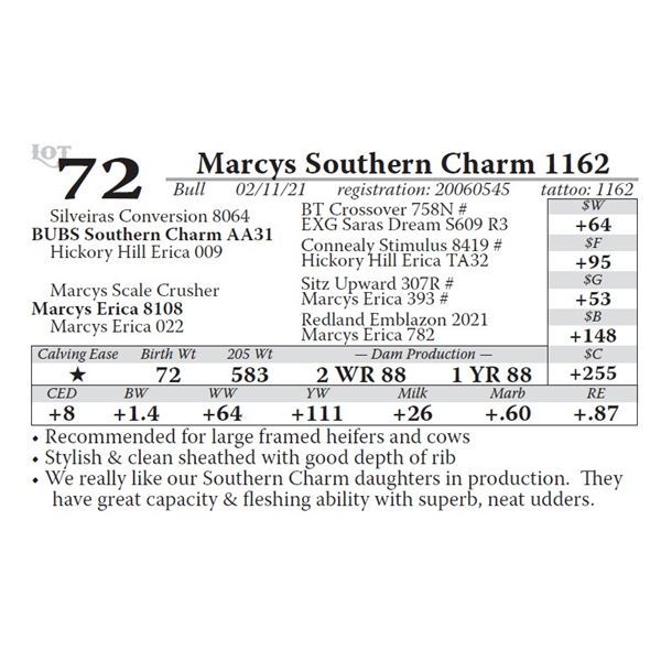 Marcys Southern Charm 1162
