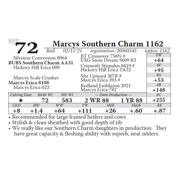 Marcys Southern Charm 1162