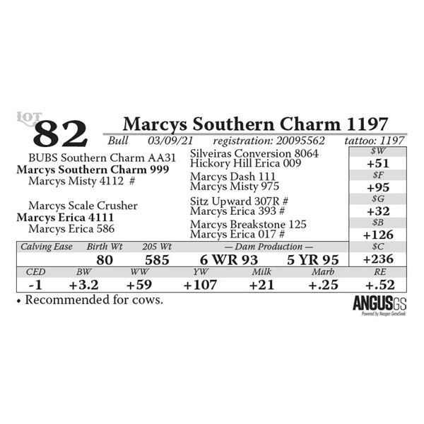 Marcys Southern Charm 1197