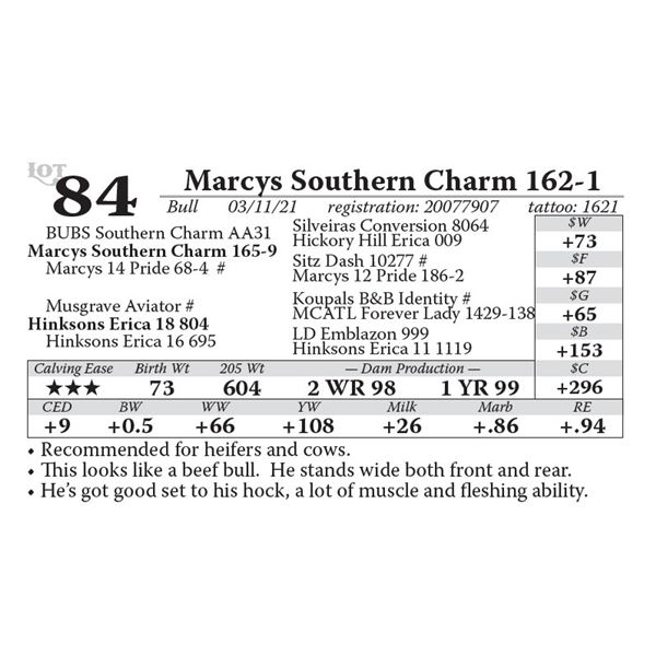 Marcys Southern Charm 162-1