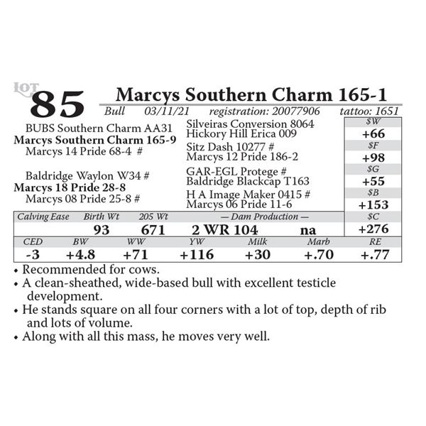 OUT OF SALE - Marcys Southern Charm 165-1