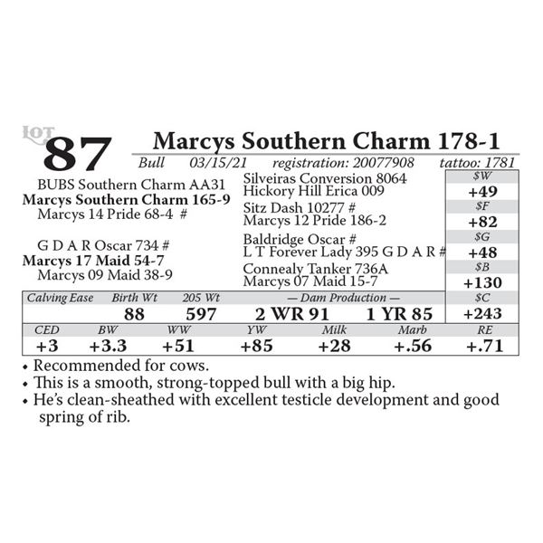 OUT OF SALE - Marcys Southern Charm 178-1