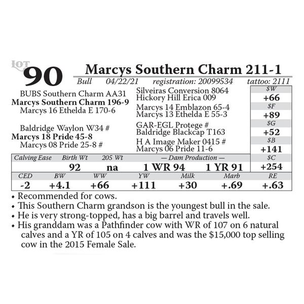 OUT OF SALE - Marcys Southern Charm 211-1