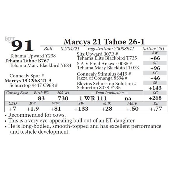 Marcys 21 Tahoe 26-1