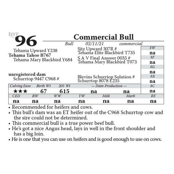 Commercial Bull