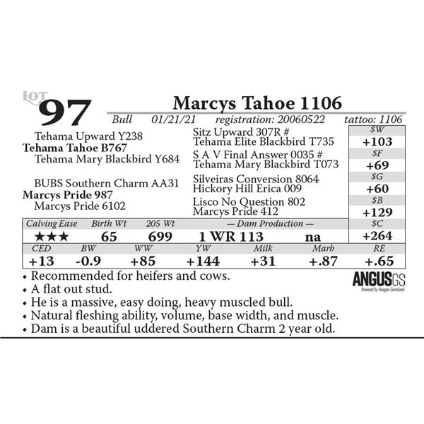 Marcys Tahoe 1106