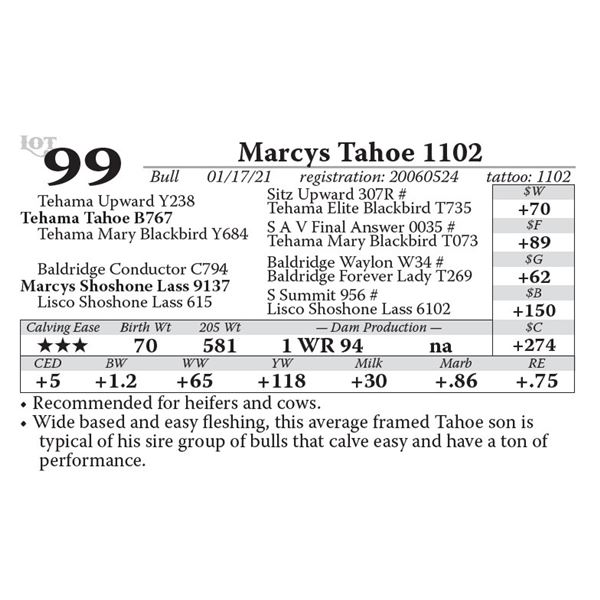 Marcys Tahoe 1102