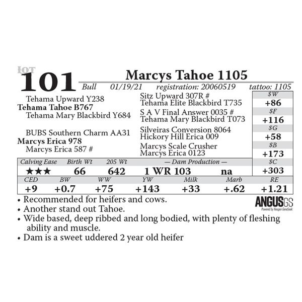 Marcys Tahoe 1105