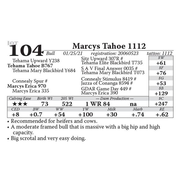 Marcys Tahoe 1112