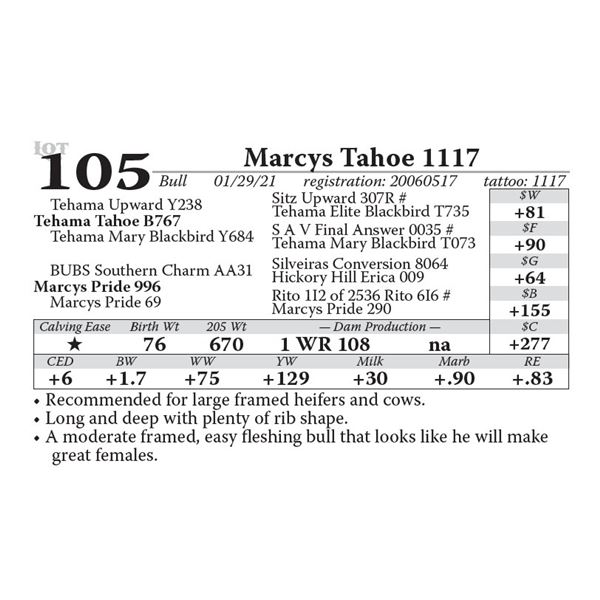 Marcys Tahoe 1117