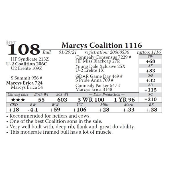Marcys Coalition 1116