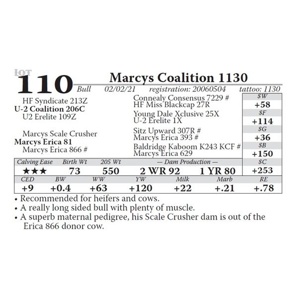 Marcys Coalition 1130