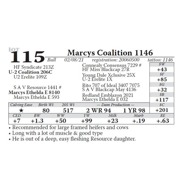 Marcys Coalition 1146