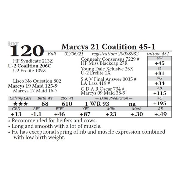 Marcys 21 Coalition 45-1