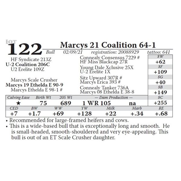 Marcys 21 Coalition 64-1