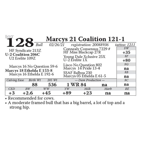 Marcys 21 Coalition 121-1