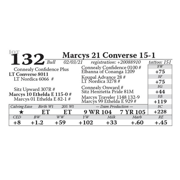 Marcys 21 Converse 15-1