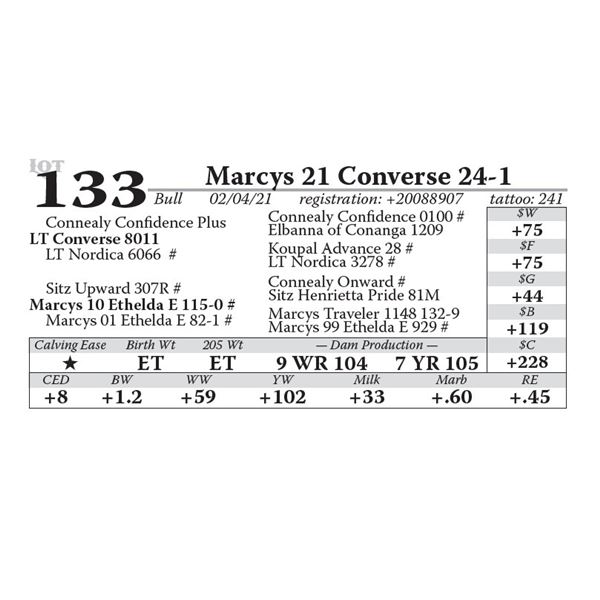 Marcys 21 Converse 24-1