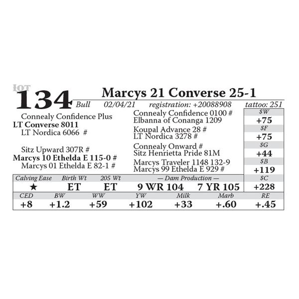 Marcys 21 Converse 25-1