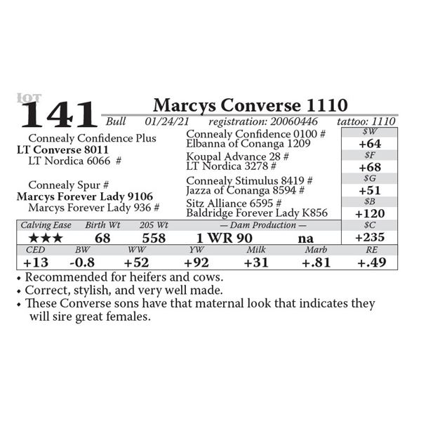 Marcys Converse 1110