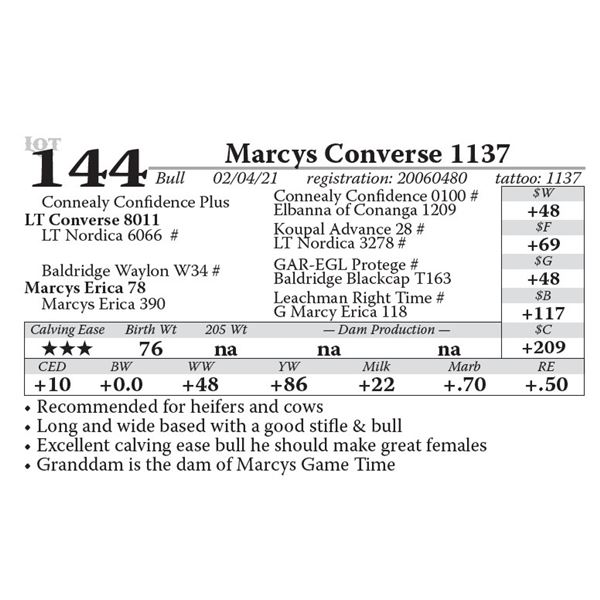 Marcys Converse 1137