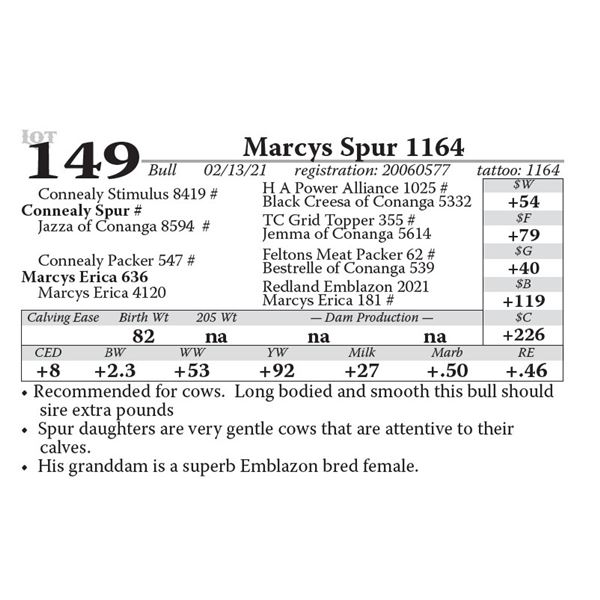 Marcys Spur 1164