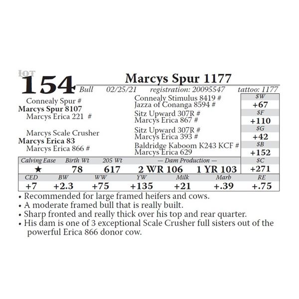 Marcys Spur 1177
