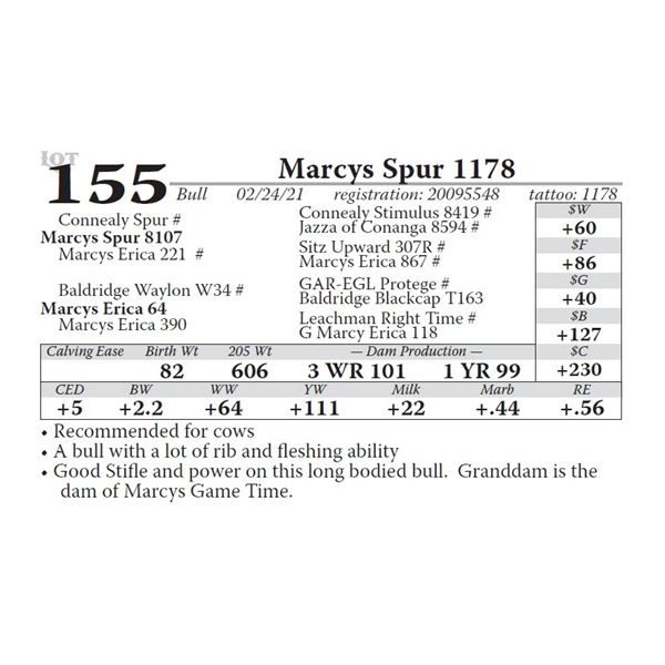 Marcys Spur 1178