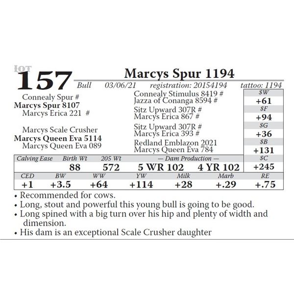 Marcys Spur 1194