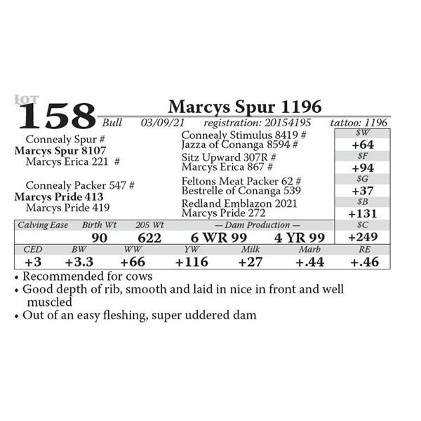 OUT OF SALE - Marcys Spur 1196