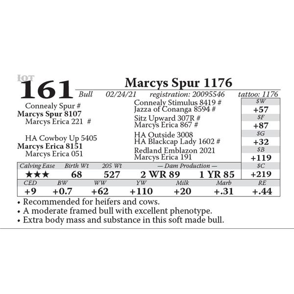 Marcys Spur 1176