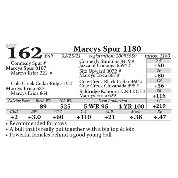 Marcys Spur 1180