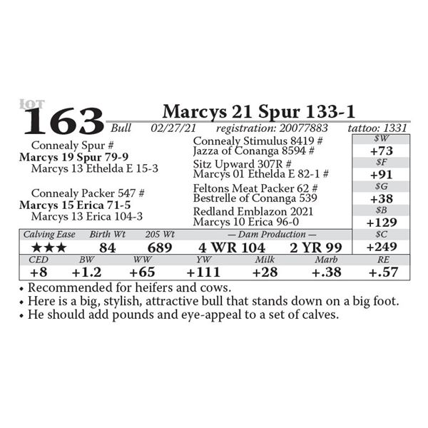 Marcys 21 Spur 133-1