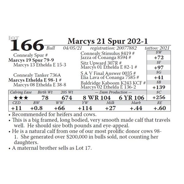 Marcys 21 Spur 202-1