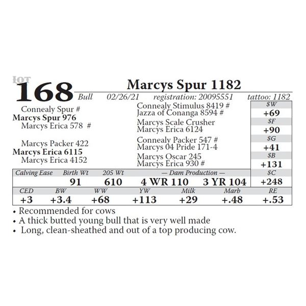 Marcys Spur 1182