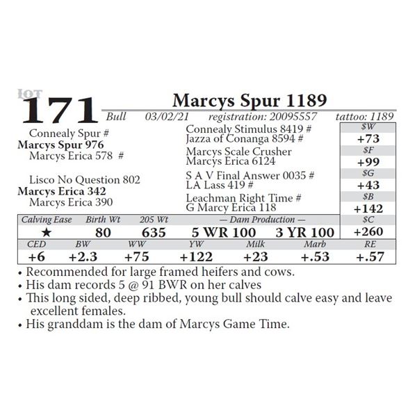 Marcys Spur 1189