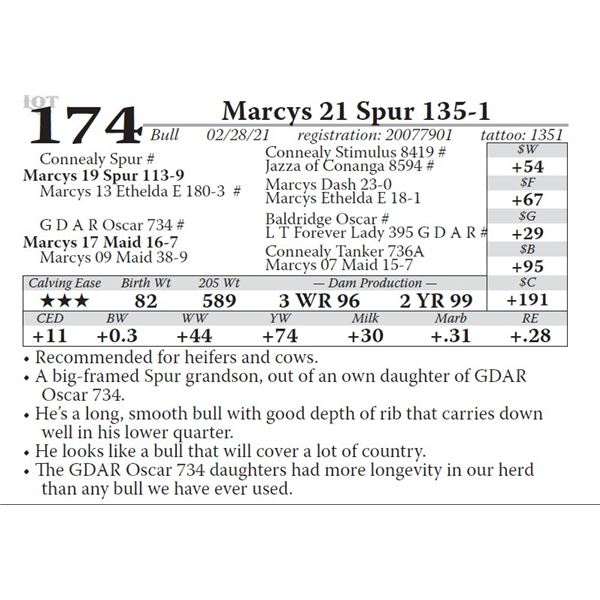 Marcys 21 Spur 135-1
