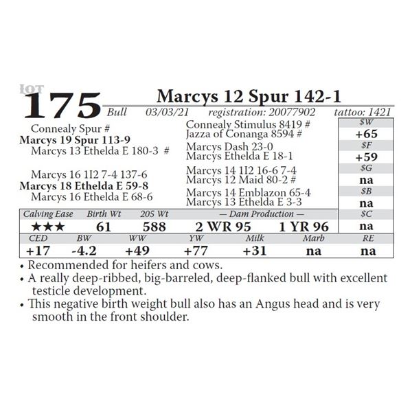 Marcys 12 Spur 142-1