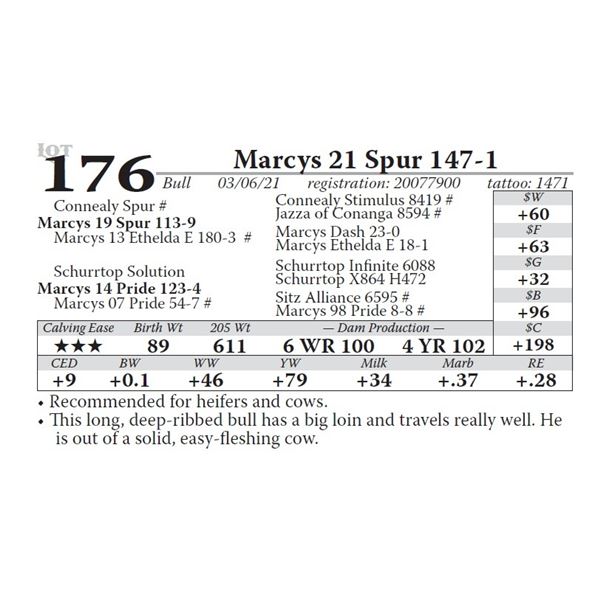 Marcys 21 Spur 147-1