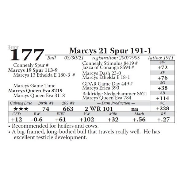 Marcys 21 Spur 191-1