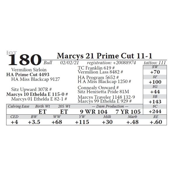 Marcys 21 Prime Cut 11-1