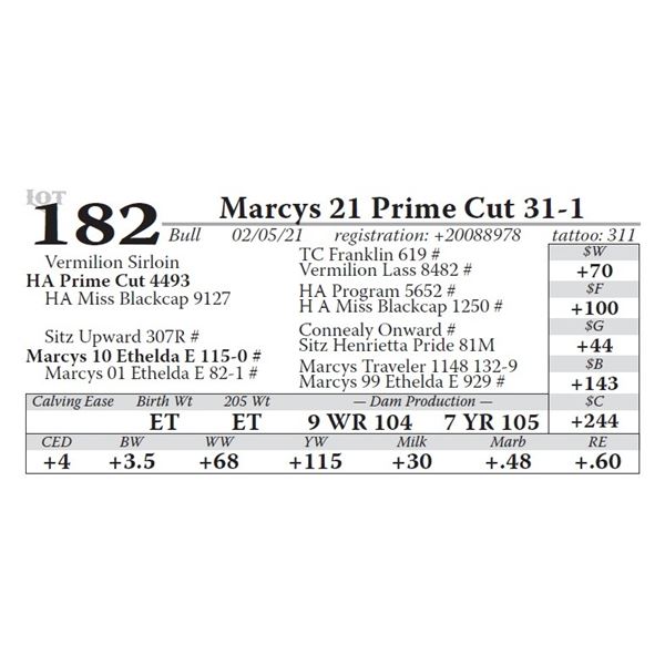 Marcys 21 Prime Cut 31-1