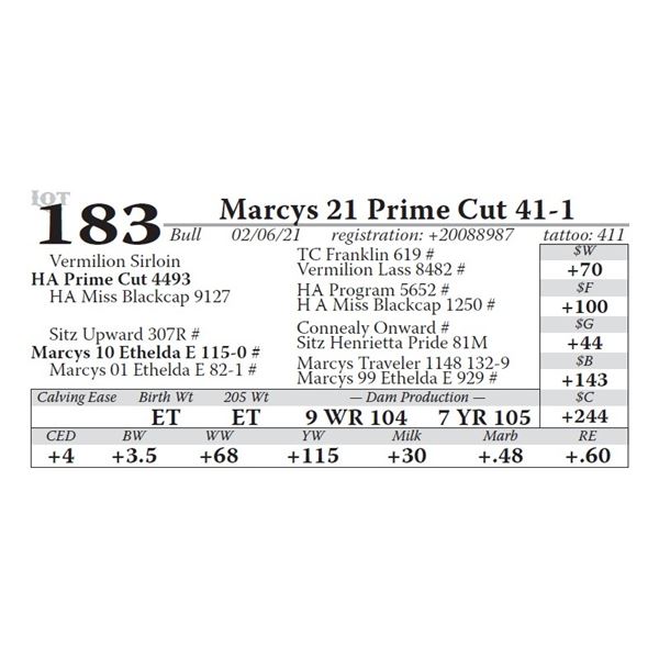 Marcys 21 Prime Cut 41-1