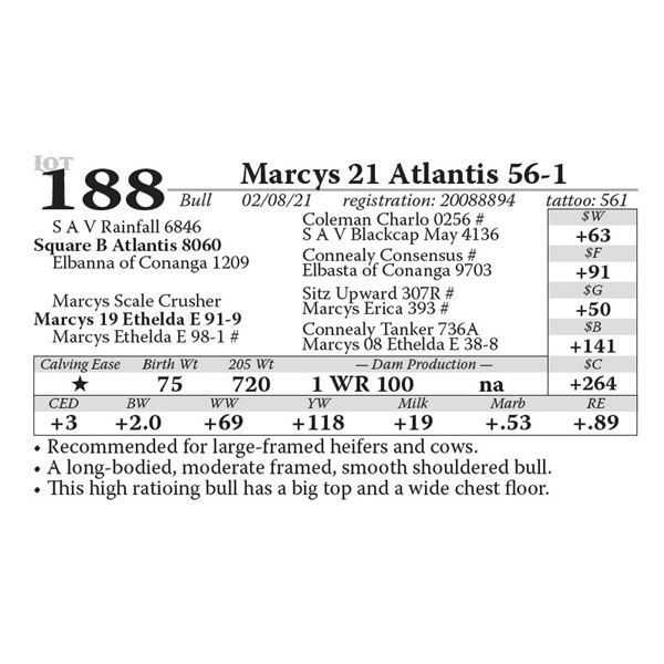 Marcys 21 Atlantis 56-1