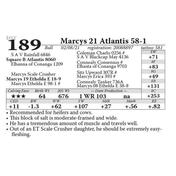 OUT OF SALE - Marcys 21 Atlantis 58-1