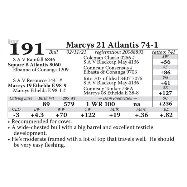 Marcys 21 Atlantis 74-1