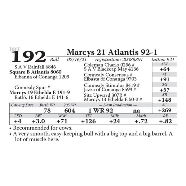 Marcys 21 Atlantis 92-1