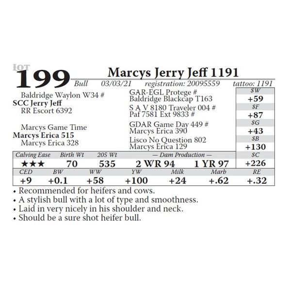 Marcys Jerry Jeff 1191