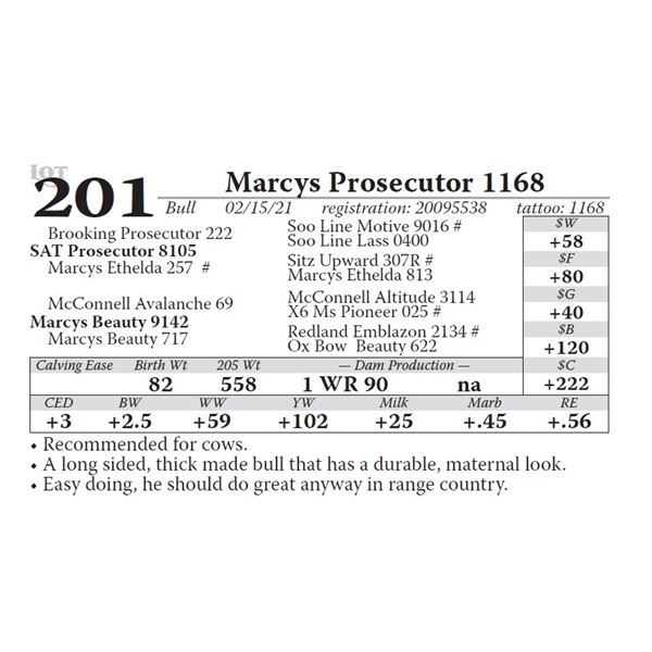 Marcys Prosecutor 1168