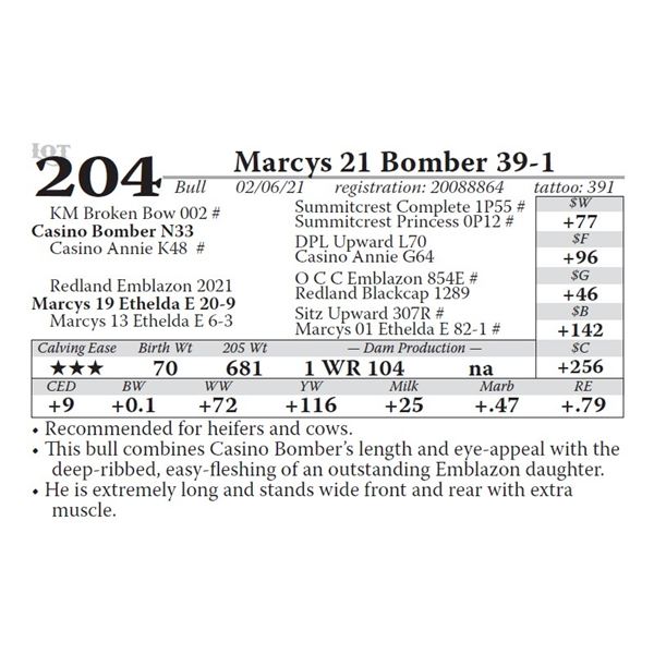 Marcys 21 Bomber 39-1